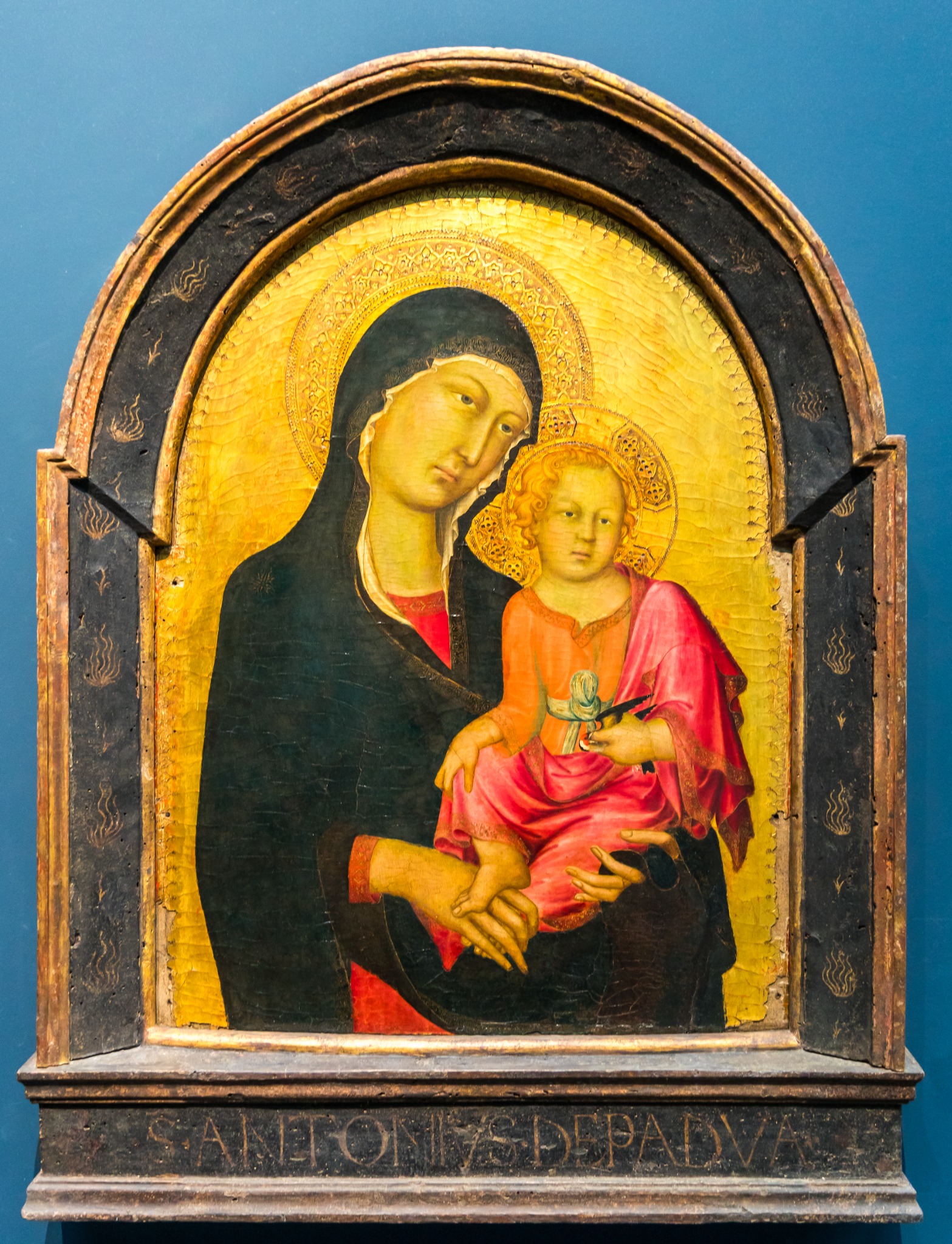 Colour, gold and Sienese elegance